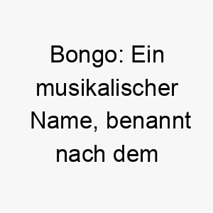 bongo ein musikalischer name benannt nach dem afrikanischen trommelinstrument passend fuer einen musikalischen oder rhythmischen hund 17381