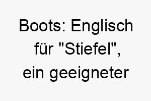 boots englisch fuer stiefel ein geeigneter name fuer einen hund mit auffaelligen pfoten oder beinen 17355