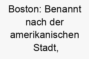 boston benannt nach der amerikanischen stadt koennte fuer einen stadtliebenden hund passend sein 17376