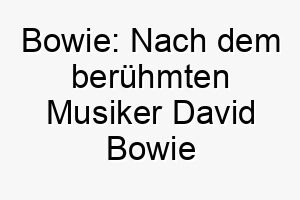 bowie nach dem beruehmten musiker david bowie benannt ein passender name fuer einen hund mit einem einzigartigen aussehen oder charakter 17364