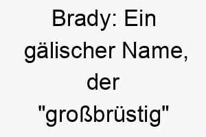 brady ein gaelischer name der grossbruestig bedeutet 17321