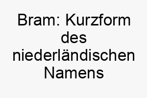 bram kurzform des niederlaendischen namens abraham was vater der voelker bedeutet 17340