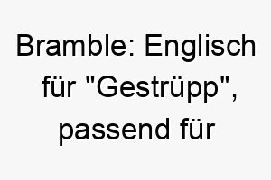 bramble englisch fuer gestruepp passend fuer einen hund der gerne im wald herumtollt 17322