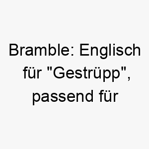 bramble englisch fuer gestruepp passend fuer einen hund der gerne im wald herumtollt 17322