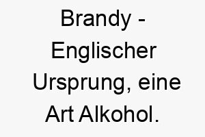 brandy englischer ursprung eine art alkohol bedeutung als hundename fuer einen harten starken hund 12822