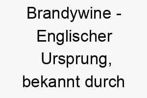 brandywine englischer ursprung bekannt durch den fluss brandywine aus dem tolkien universum bedeutung als hundename fuer einen abenteuerlustigen tapferen hund 12946