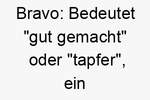 bravo bedeutet gut gemacht oder tapfer ein guter name fuer einen mutigen oder talentierten hund 17356