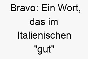 bravo ein wort das im italienischen gut bedeutet gut fuer einen hund der schnell lernt 17323