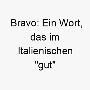 bravo ein wort das im italienischen gut bedeutet gut fuer einen hund der schnell lernt 17323