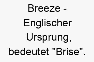 breeze englischer ursprung bedeutet brise bedeutung als hundename fuer einen leichten sanften hund 12752