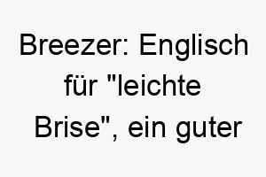 breezer englisch fuer leichte brise ein guter name fuer einen entspannten oder sanften hund 17370