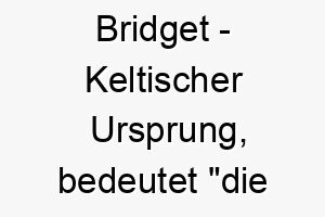 bridget keltischer ursprung bedeutet die hohe bedeutung als hundename fuer einen stolzen wuerdevollen hund 12898