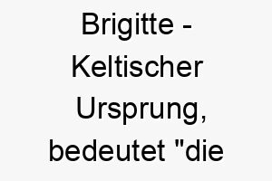 brigitte keltischer ursprung bedeutet die erhabene bedeutung als hundename fuer einen stolzen noblen hund 12781