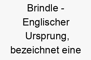 brindle englischer ursprung bezeichnet eine fellfarbe bedeutung als hundename fuer einen gestreiften oder gefleckten hund 12971