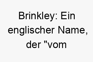 brinkley ein englischer name der vom grasbewachsenen huegel bedeutet 17372