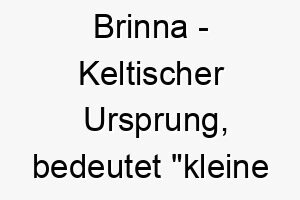 brinna keltischer ursprung bedeutet kleine huegel bedeutung als hundename fuer einen kleinen robusten hund 12950