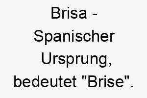 brisa spanischer ursprung bedeutet brise bedeutung als hundename fuer einen leichten sanften hund 12934