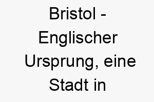 bristol englischer ursprung eine stadt in england bedeutung als hundename fuer einen kultivierten eleganten hund 12817