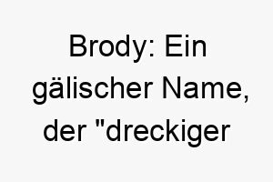 brody ein gaelischer name der dreckiger graben bedeutet 17324