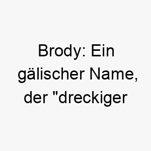 brody ein gaelischer name der dreckiger graben bedeutet 17324