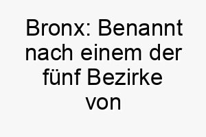 bronx benannt nach einem der fuenf bezirke von new york city passend fuer einen urban orientierten hund 17369