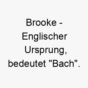 brooke englischer ursprung bedeutet bach bedeutung als hundename fuer einen ruhigen friedlichen hund 12745