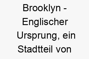 brooklyn englischer ursprung ein stadtteil von new york bedeutung als hundename fuer einen trendigen coolen hund 12694