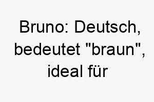 bruno deutsch bedeutet braun ideal fuer einen hund mit braunem fell 17395