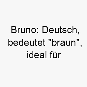 bruno deutsch bedeutet braun ideal fuer einen hund mit braunem fell 17395