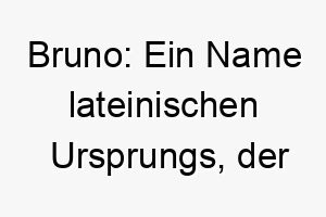 bruno ein name lateinischen ursprungs der braun bedeutet 17325