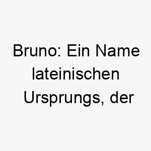 bruno ein name lateinischen ursprungs der braun bedeutet 17325