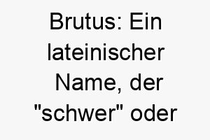 brutus ein lateinischer name der schwer oder massiv bedeutet passend fuer einen grossen starken hund 17342