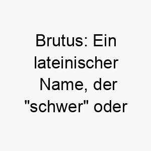 brutus ein lateinischer name der schwer oder massiv bedeutet passend fuer einen grossen starken hund 17342