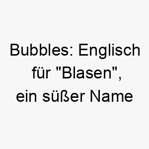 bubbles englisch fuer blasen ein suesser name fuer einen froehlichen oder verspielten hund 17403