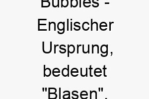 bubbles englischer ursprung bedeutet blasen bedeutung als hundename fuer einen froehlichen verspielten hund 12746