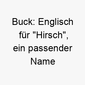 buck englisch fuer hirsch ein passender name fuer einen grossen hund oder einen hund mit einer besonderen vorliebe fuer die natur 17349