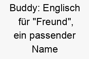 buddy englisch fuer freund ein passender name fuer einen sehr freundlichen hund oder einen hund der sich gut mit anderen hunden oder menschen versteht 17359