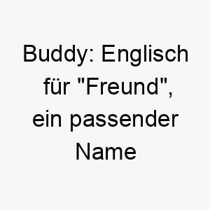 buddy englisch fuer freund ein passender name fuer einen sehr freundlichen hund oder einen hund der sich gut mit anderen hunden oder menschen versteht 17359