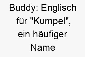 buddy englisch fuer kumpel ein haeufiger name fuer hunde 17327