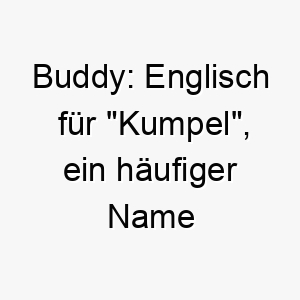 buddy englisch fuer kumpel ein haeufiger name fuer hunde 17327