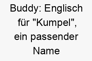 buddy englisch fuer kumpel ein passender name fuer einen hund der dein bester freund ist 17390