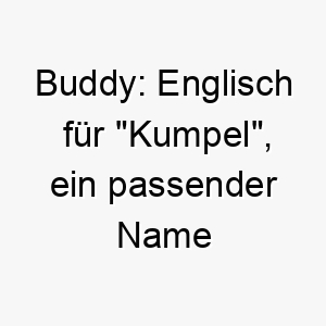 buddy englisch fuer kumpel ein passender name fuer einen hund der dein bester freund ist 17390