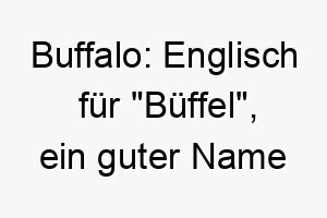 buffalo englisch fuer bueffel ein guter name fuer einen grossen kraeftigen hund 17328