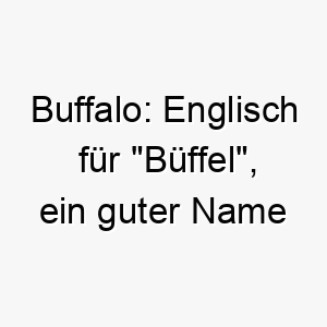 buffalo englisch fuer bueffel ein guter name fuer einen grossen kraeftigen hund 17328