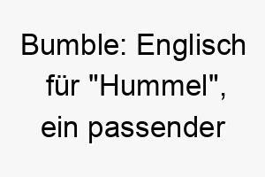 bumble englisch fuer hummel ein passender name fuer einen kleinen schnellen und energischen hund 17334