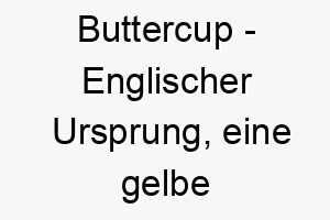 buttercup englischer ursprung eine gelbe blume bedeutung als hundename fuer einen suessen sanften und hellen hund 12695