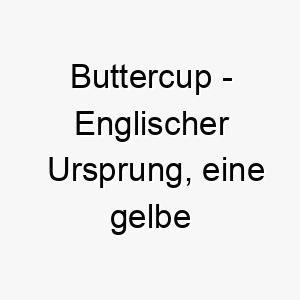 buttercup englischer ursprung eine gelbe blume bedeutung als hundename fuer einen suessen sanften und hellen hund 12695