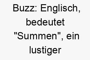 buzz englisch bedeutet summen ein lustiger name fuer einen neugierigen oder aktiven hund 17397