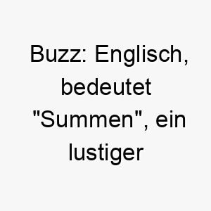 buzz englisch bedeutet summen ein lustiger name fuer einen neugierigen oder aktiven hund 17397