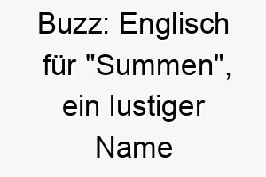 buzz englisch fuer summen ein lustiger name fuer einen kleinen energiegeladenen hund 17329